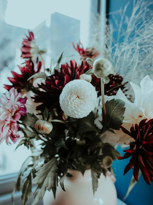 菲雅段毅笙完結(jié)小說(shuō)菲雅段毅笙無(wú)彈窗閱讀