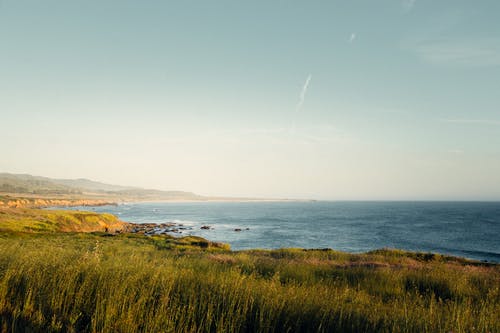 驚弓之鳥教學(xué)隨筆