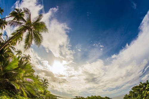 楚鋒末世重生小說作者煙頭作品全章節(jié)閱讀