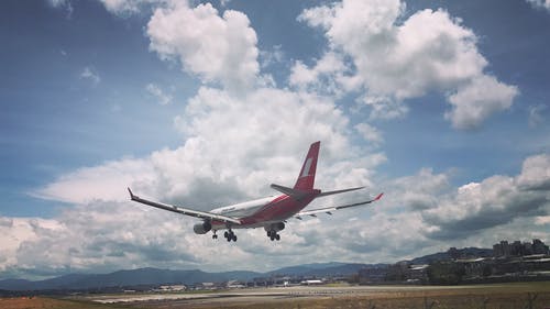 女神的貼身神醫(yī)小說逆襲葉無為凌曦無廣告閱讀