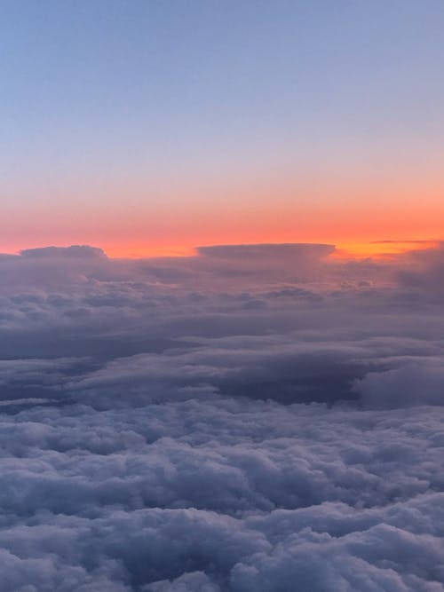 最新重陽節(jié)短信祝福語