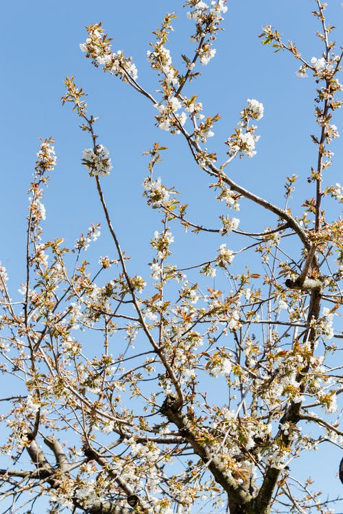 鬼怪陰陽(yáng)投遞局小說(shuō)許瑞孫亮無(wú)錯(cuò)版閱讀