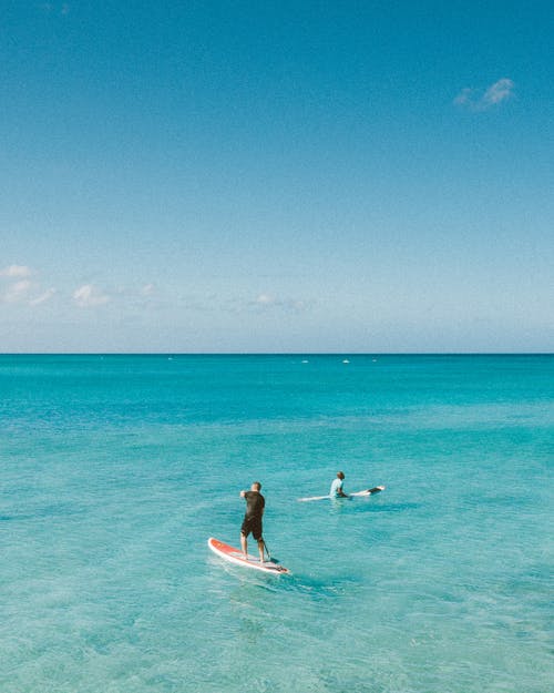 爆款逍遙醫(yī)圣小說徐楓楚煙涵在線閱讀