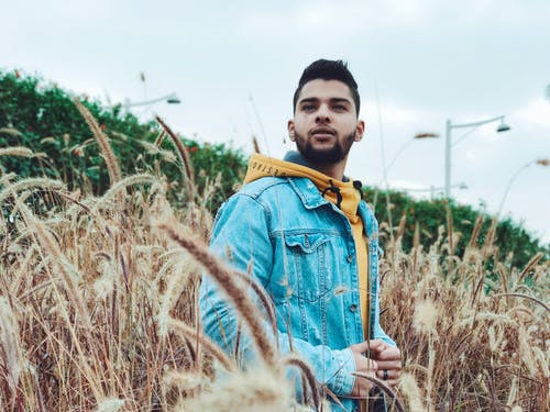 現(xiàn)代詩歌：我的自白書