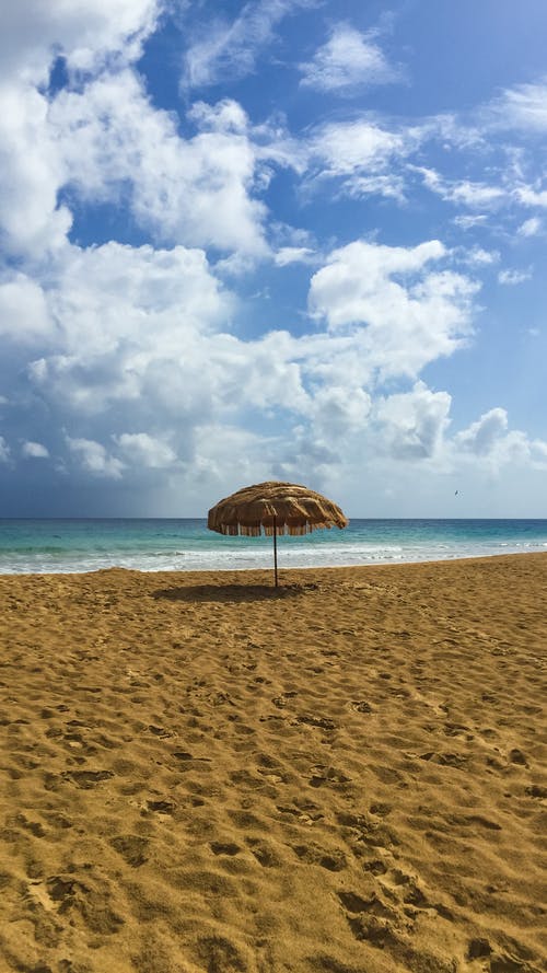 五年級書信勸爸爸戒酒的信