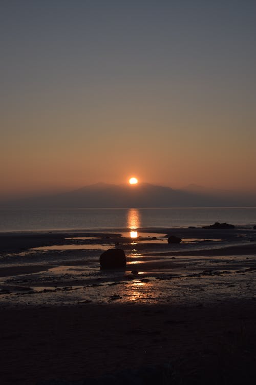 陸云天陸琦逆襲小說無上龍帝無彈窗閱讀