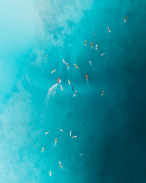 鎮(zhèn)國(guó)醫(yī)婿小說(shuō)爽文洪天白傾城無(wú)錯(cuò)版閱讀