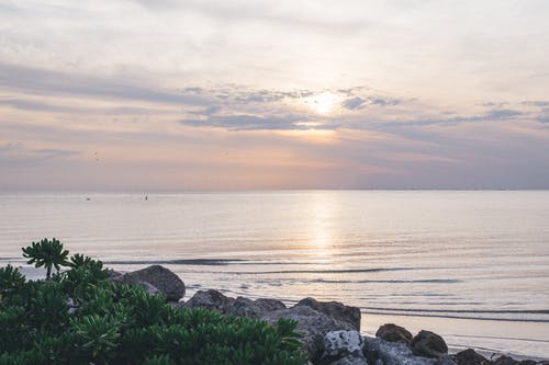 2020年有關(guān)母親節(jié)的詩歌