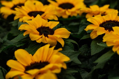 自考考場(chǎng)來了位勵(lì)志老奶奶