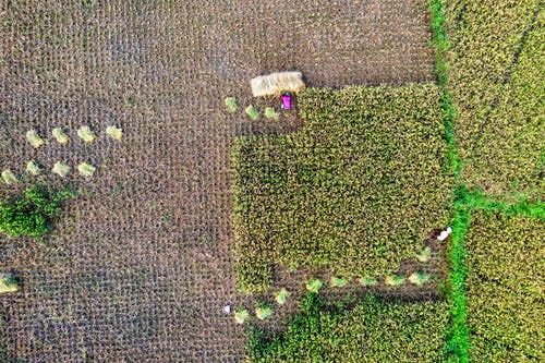 有關端午節(jié)的朗誦詩歌