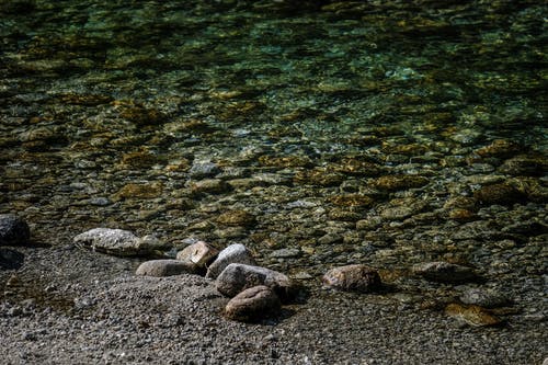 小學日記 開學第一周