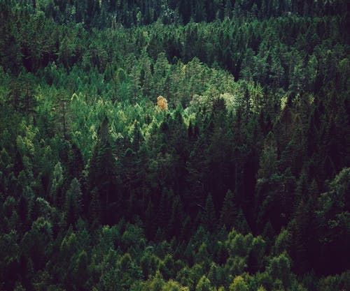 含有人生哲理的文言文句子 含有人生哲理的文言文句子