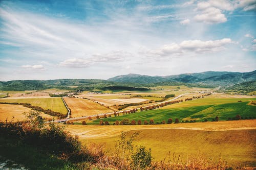 【實(shí)用】心情日記匯總6篇