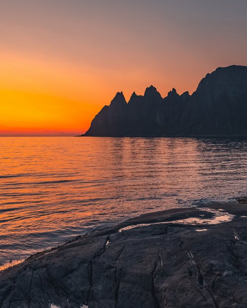 仙人掌觀察日記400字