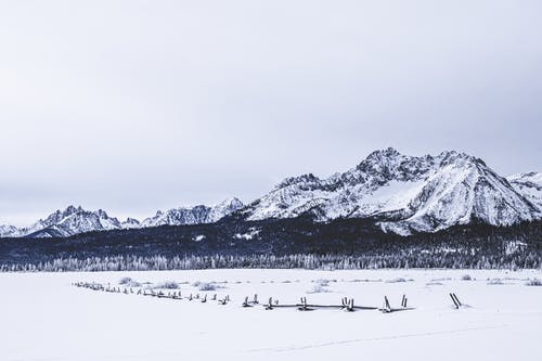 五年級(jí)敘事作文蟲(chóng)子