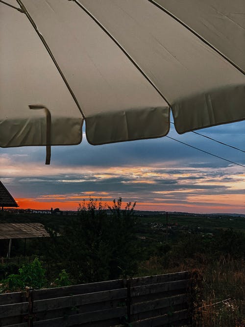 五年級(jí)期中考試作文我要做一棵有追求的荇菜 五年級(jí)期中考試作文我要做一棵有追求的荇菜