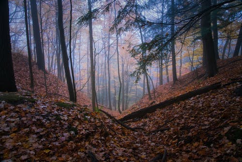 總裁前妻哪里逃小說夏星星穆青寒無刪減閱讀