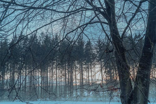 有關(guān)五年級日記匯總八篇