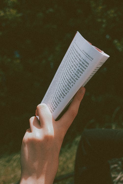 開局每天一個(gè)新身份小說(shuō)陳傳升方秋淇新書嘗鮮閱讀