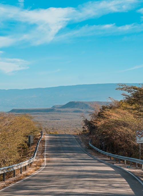 大夏城隍小說無彈窗褚鷹袁可兒全文閱讀