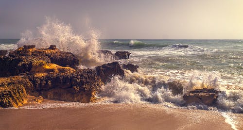 我的瘋狂逆襲人生小說(shuō)連載中宋哲李冉無(wú)彈窗閱讀