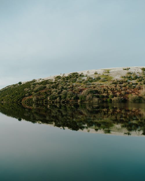 爽文北境王尊小說沈飛揚(yáng)蘇月目錄閱讀
