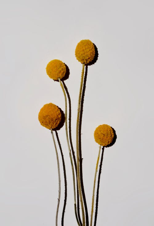 給自己結(jié)婚祝福語 給自己結(jié)婚祝福語