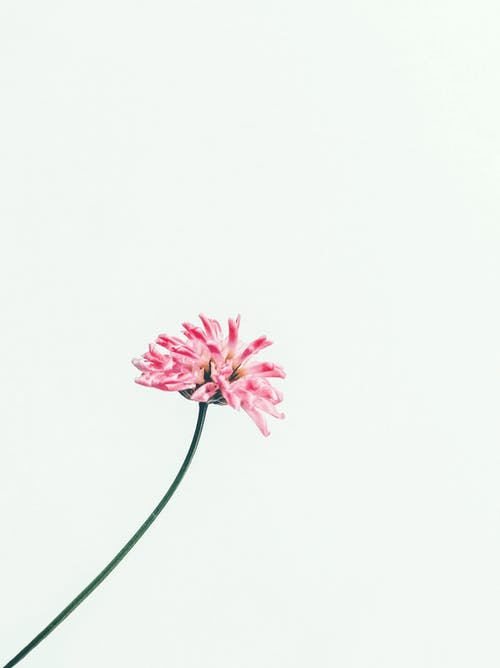 五年級想象作文孫悟空來我家