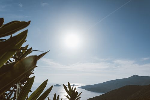 五年級(jí)游記漁港美景