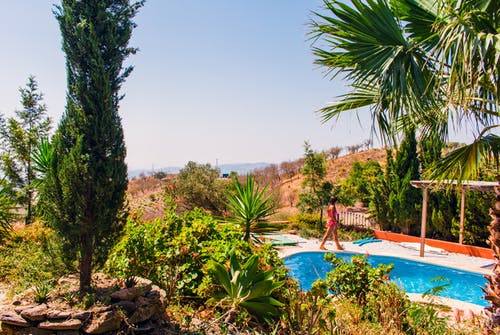 人教版六年級上冊四單元作文保護環(huán)境是我們的責(zé)任