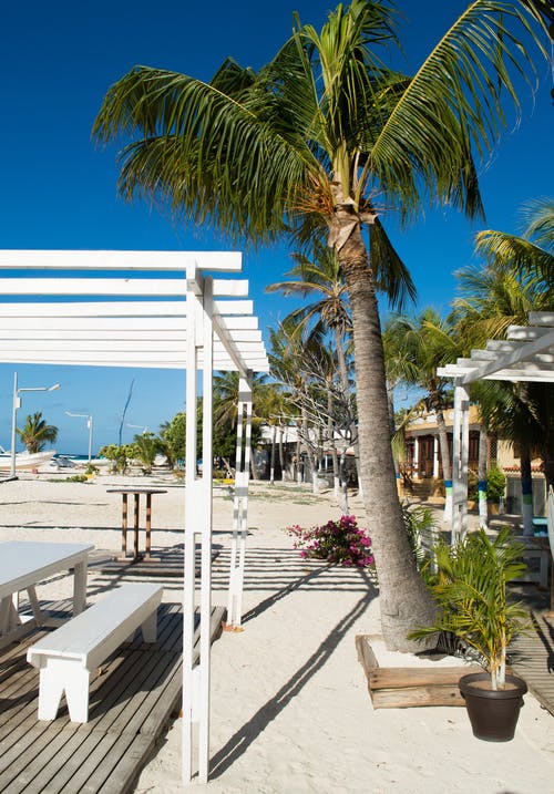 實(shí)用的爬山日記范文十篇