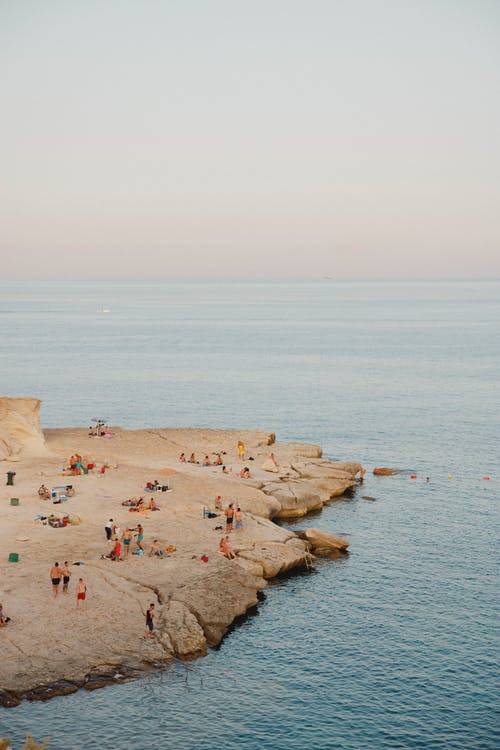 《瘋子》經(jīng)典影評(píng)1000字