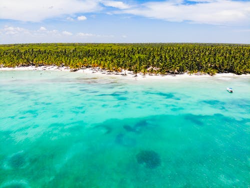 年時(shí)系列之意闌珊（下）