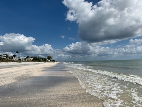 都市戰(zhàn)醫(yī)圣婿小說江易蕭詩音在線閱讀