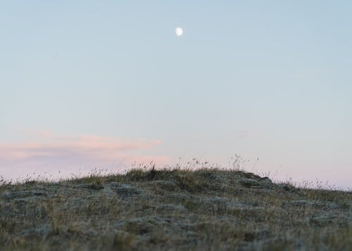 雨現(xiàn)代詩歌欣賞