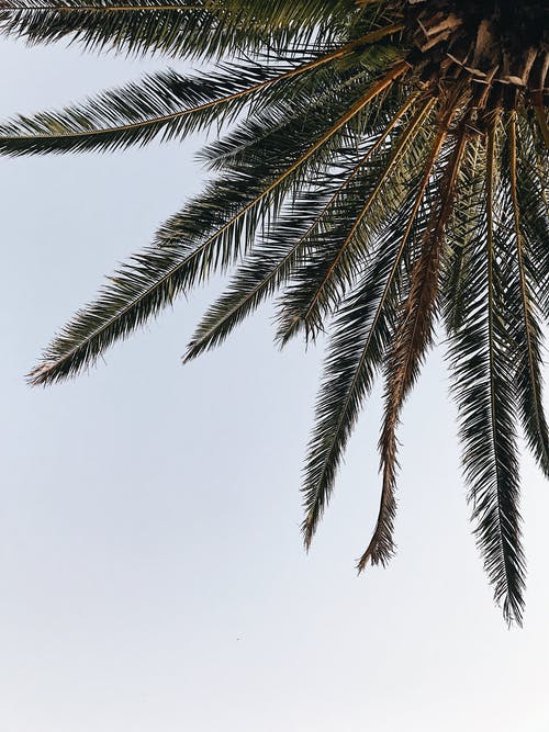 電視劇那片星空那片海經(jīng)典臺(tái)詞