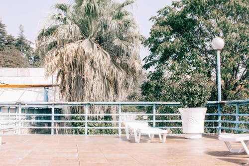 如若再見，請勿忘往生美文