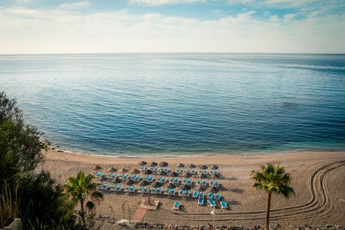 愛原來是放不下小說夏楚楚蕭武玹全文閱讀