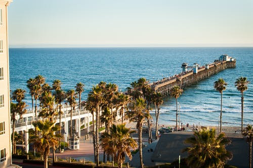 立春祝福問(wèn)候語(yǔ)錦集51條 立春祝福問(wèn)候語(yǔ)錦集51條