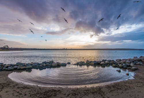 豪醫(yī)狂少無(wú)廣告林陽(yáng)蘇顏小說(shuō)目錄閱讀