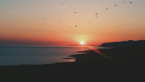 關(guān)于古詩(shī)的作文