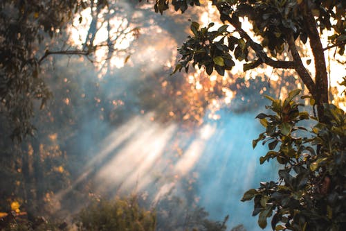 實(shí)用的四年級(jí)日記三篇