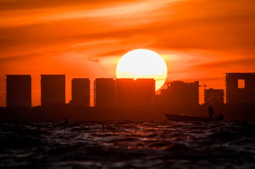 五年級(jí)敘事作文“護(hù)蛋”行動(dòng)