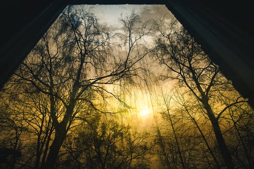 熱推頂級(jí)巨星簽到系統(tǒng)小說(shuō)周行蘇欣欣全文閱讀