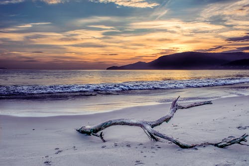 聚“睛”會(huì)神才能寫出優(yōu)秀觀后感 聚“睛”會(huì)神才能寫出優(yōu)秀觀后感