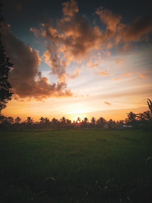 祝臘八節(jié)快樂的祝福語38句