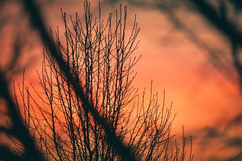 洛奇經(jīng)典臺詞