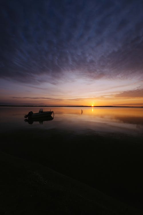 一場雨隨筆600字 一場雨隨筆600字