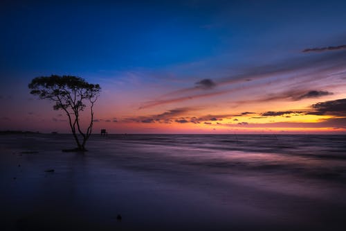 2020年溫馨除夕祝福語(yǔ)QQ合集23條