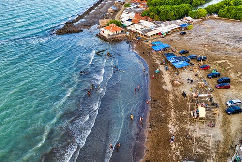 五年級觀后感沖鋒號 五年級觀后感沖鋒號